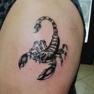Scorpion Tattoo | Best Tattoo Ideas For Men 