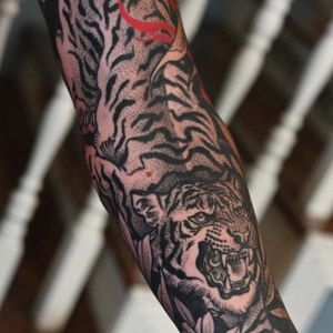 Tiger Animal Design