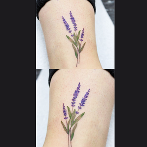 Lavender Tattoo