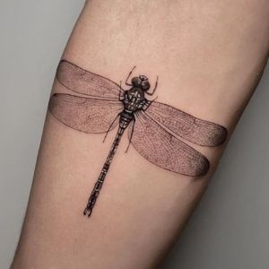 black minimal dragonfly tattoo