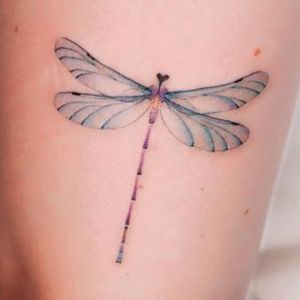 blue color dragonfly tattoo