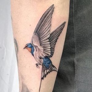 elbow color swallow tattoo