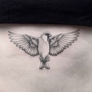 female sparrow tattoo
