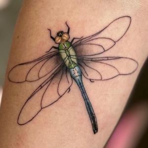 glitter color dragonfly tattoo