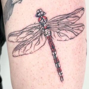 red color dragonfly tattoo