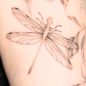 shades minimal dragonfly tattoo