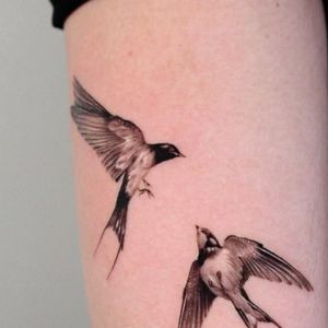 swallow vs sparrow arm tattoo