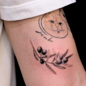 cat cute tattoo