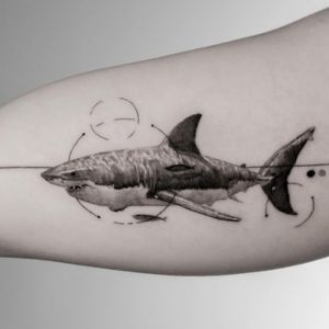 geometric shark tattoo