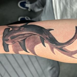 shading hammerhead shark tattoo